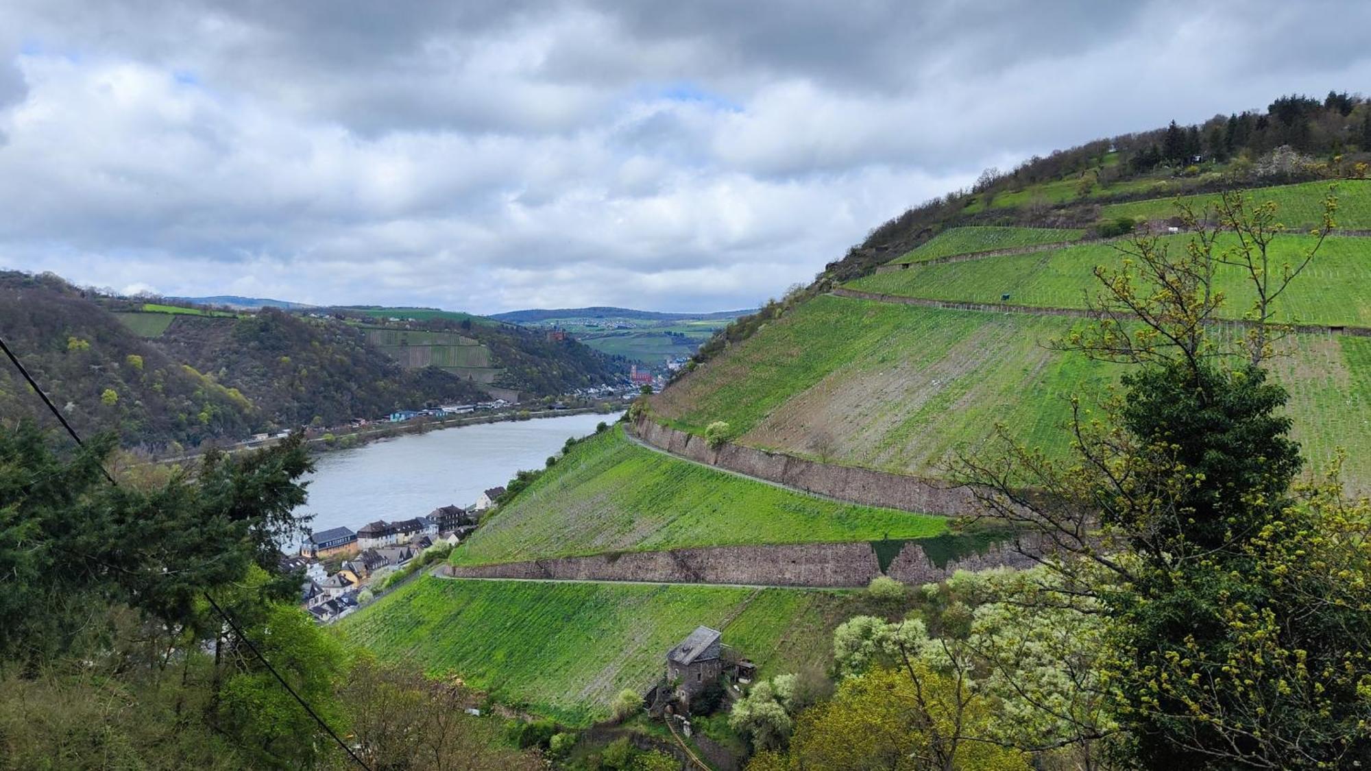 Direkt Am Rhein Mit Burgblick Nahe Rheinsteig Bis 8 Personen, 2 Baeder, 4 Zimmer, Kueche, Netflix Apartment Kaub Exterior photo