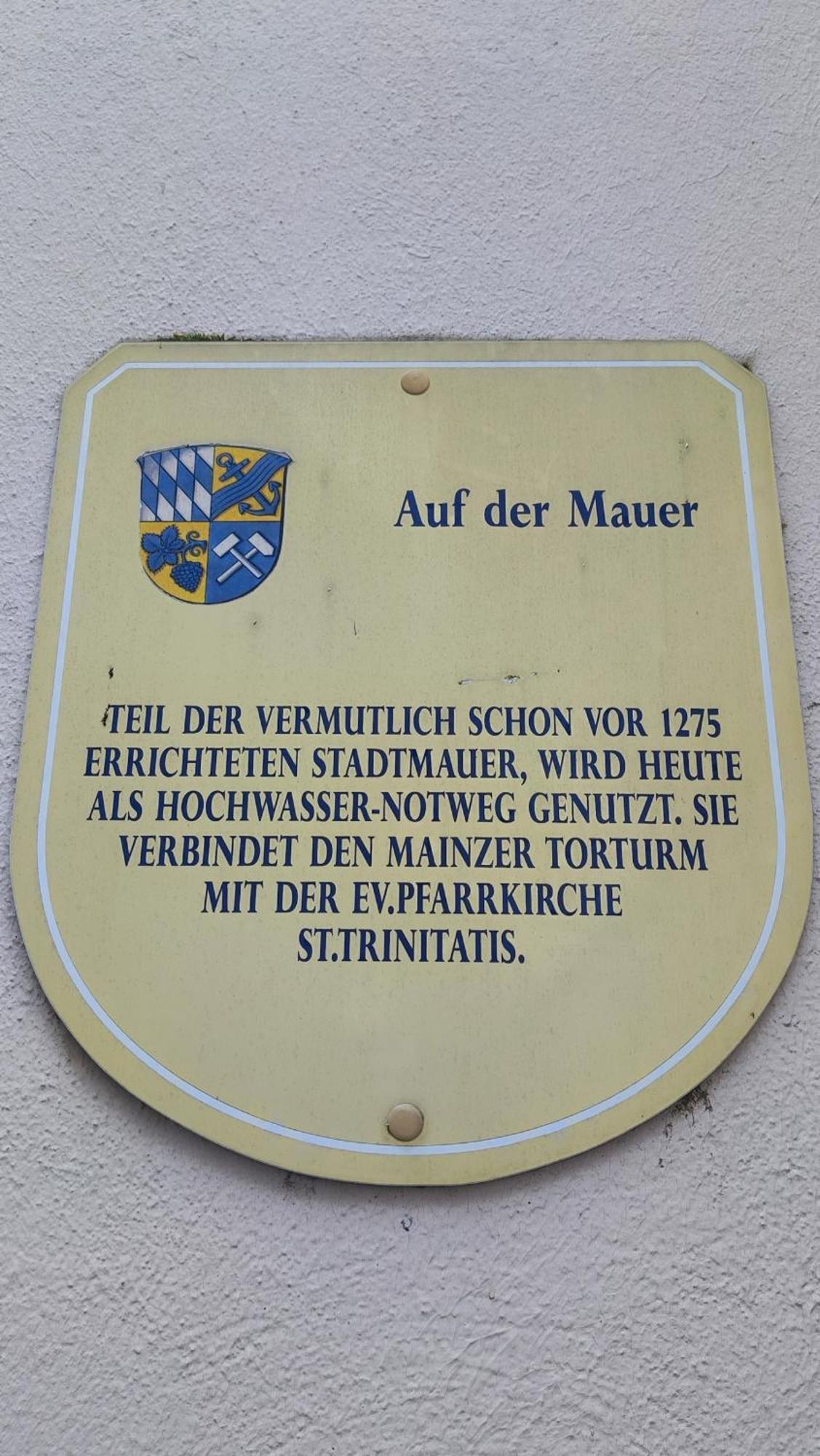 Direkt Am Rhein Mit Burgblick Nahe Rheinsteig Bis 8 Personen, 2 Baeder, 4 Zimmer, Kueche, Netflix Apartment Kaub Exterior photo