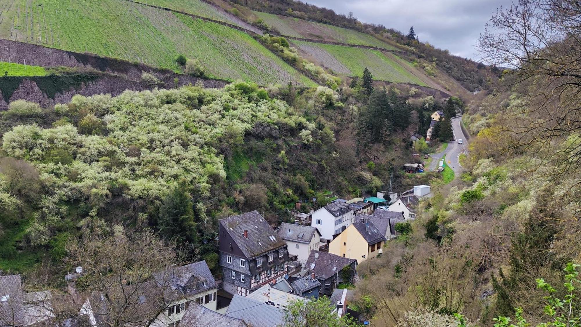 Direkt Am Rhein Mit Burgblick Nahe Rheinsteig Bis 8 Personen, 2 Baeder, 4 Zimmer, Kueche, Netflix Apartment Kaub Exterior photo